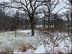 Lot #48 E LONGWOOD Drive, Woodstock IL 60098