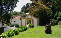 11 Bedroom Farm, Abrantes