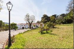 11 Bedroom Farm, Abrantes