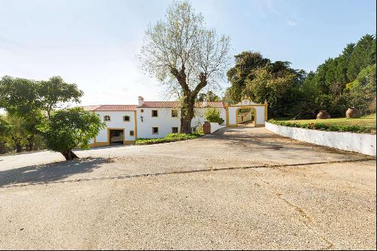 11 Bedroom Farm, Abrantes