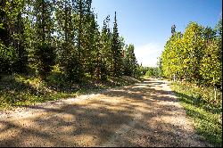 Gorgeous Steamboat Lake Area Property