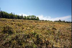 Gorgeous Steamboat Lake Area Property