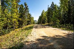 Gorgeous Steamboat Lake Area Property