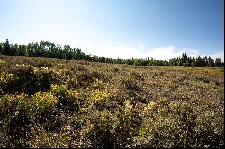 Gorgeous Steamboat Lake Area Property