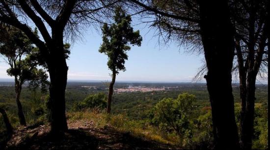 Investment opportunity - Land in Melides | Alto da Boia, Melides - Alto da Boia PT 7570