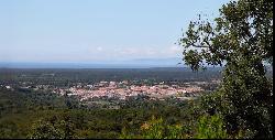 Investment opportunity - Land in Melides | Alto da Boia, Melides - Alto da Boia PT 7570