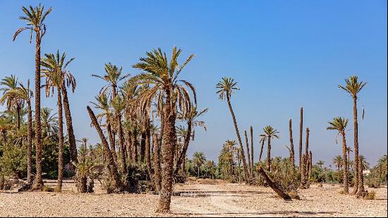 Land Damascus