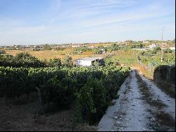  , Setubal Peninsula Lisbon