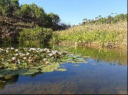  , Tavira Algarve