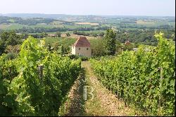 MASTER HOUSE TO RESTORE SURROUNDED BY VINEYARDS IN THE GERS