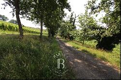 MASTER HOUSE TO RESTORE SURROUNDED BY VINEYARDS IN THE GERS