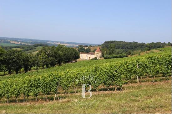 MASTER HOUSE TO RESTORE SURROUNDED BY VINEYARDS IN THE GERS