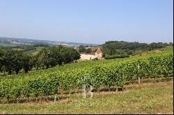 MASTER HOUSE TO RESTORE SURROUNDED BY VINEYARDS IN THE GERS