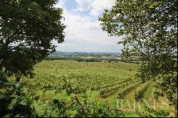 MASTER HOUSE TO RESTORE SURROUNDED BY VINEYARDS IN THE GERS