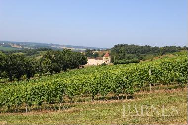MASTER HOUSE TO RESTORE SURROUNDED BY VINEYARDS IN THE GERS
