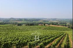 MASTER HOUSE TO RESTORE SURROUNDED BY VINEYARDS IN THE GERS