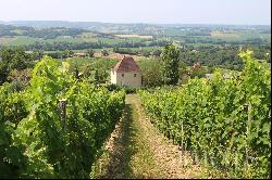 MASTER HOUSE TO RESTORE SURROUNDED BY VINEYARDS IN THE GERS