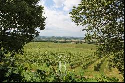 MASTER HOUSE TO RESTORE SURROUNDED BY VINEYARDS IN THE GERS