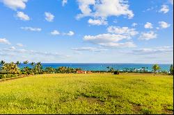 KALALEA VIEW DR #7A ANAHOLA, HI 96746