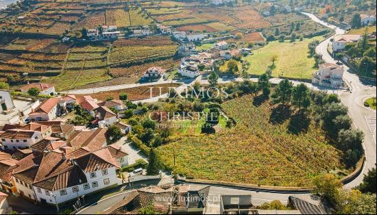 Selling: Vineyard in Douro Valley, St.ª M. Penaguião, North Portugal