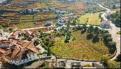 Selling: Vineyard in Douro Valley, St. M. Penaguio, North Portugal