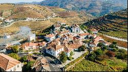 Selling: Vineyard in Douro Valley, St. M. Penaguio, North Portugal