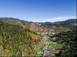 Borsec Domain, Transylvania