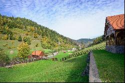 Borsec Domain, Transylvania