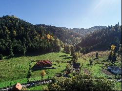 Borsec Domain, Transylvania