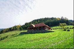 Borsec Domain, Transylvania