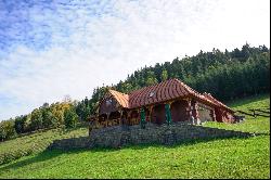 Borsec Domain, Transylvania
