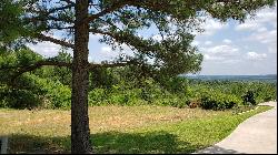 Vacant Lot with Incredible View