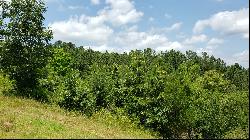 Vacant Lot with Incredible View