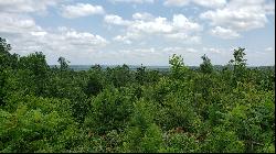 Vacant Lot with Incredible View