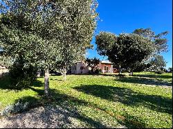 Private Villa for sale in Orbetello (Italy)