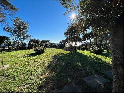 Private Villa for sale in Orbetello (Italy)