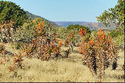 Jansenville, Karoo