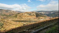 Vineyard in Douro Valley for sale, in Penajoia, Lamego, North of Portugal