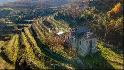 Vineyard in Douro Valley for sale, in Penajoia, Lamego, North of Portugal