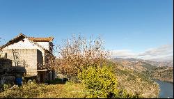 Vineyard in Douro Valley for sale, in Penajoia, Lamego, North of Portugal