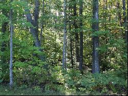 Building lot in Bay Harbor's Preserve South neighborhood