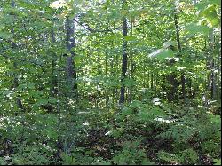 Building lot in Bay Harbor's Preserve South neighborhood