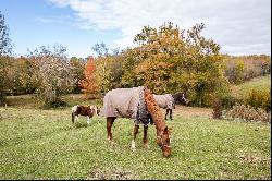 NATURE AND WINE TOURISM ON 40 HA - 35 MIN FROM BORDEAUX