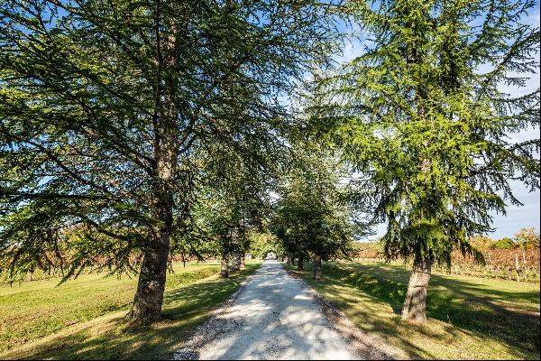 NATURE AND WINE TOURISM ON 40 HA - 35 MIN FROM BORDEAUX