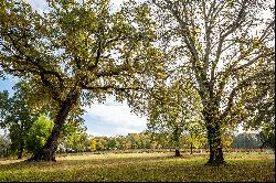 NATURE AND WINE TOURISM ON 40 HA - 35 MIN FROM BORDEAUX