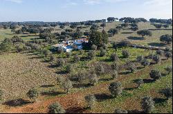 Small Farm, 4 bedrooms, for Sale