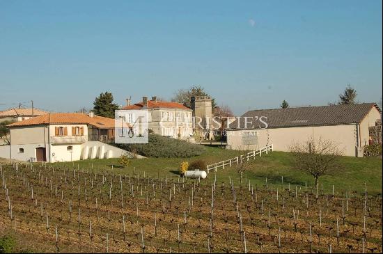 26 ha of vines - quality terroir - infrastructure in good condition