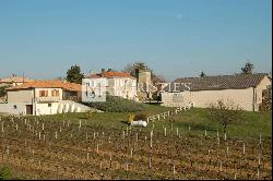 26 ha of vines - quality terroir - infrastructure in good condition