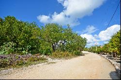 MIXED USE LOT WITHIN BEACH SIDE DEVELOPMENT