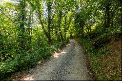 Woodland West Of Roborough, Tamerton Foliot, Plymouth, PL5 4LF